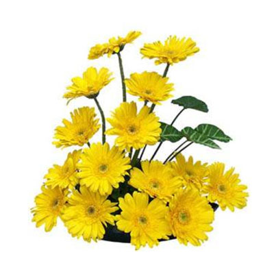"Flower Arrangement with Yellow gerberas - Click here to View more details about this Product